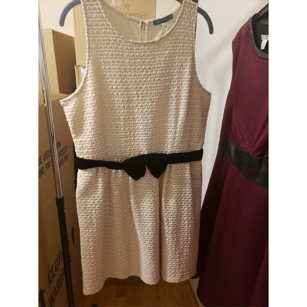 Sleeveless Belted Fit & Flare